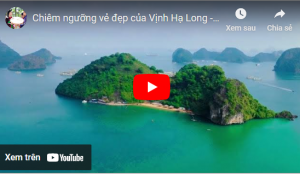 Chiêm ngưỡng vẻ đẹp của Vịnh Hạ Long – Quảng Ninh