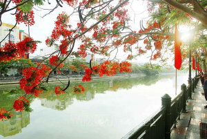 Cẩm nang du lịch Hải Phòng cho người mới đi lần đầu